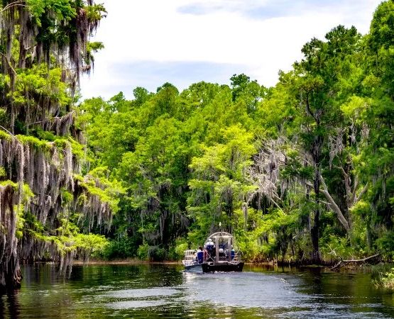 Top Underrated State Parks for Camping in 2025: Hidden Gems to Explore