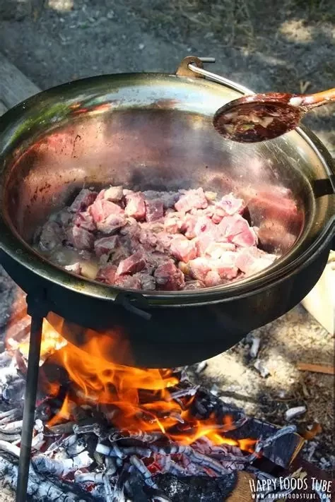 The Best Campfire Beef Stews with Crusty Bread for Outdoor Adventures