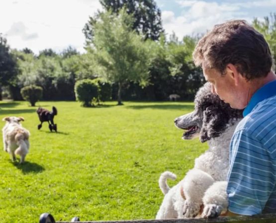 Understanding the Principles of Outdoor Etiquette for Pet Owners