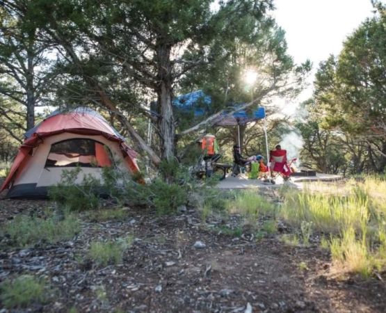 Best U.S. Campgrounds for Wildlife Photography Adventures