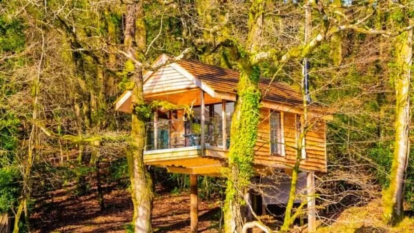 Top Glamping Treehouses, Yurts & Unique Lodges Across States
