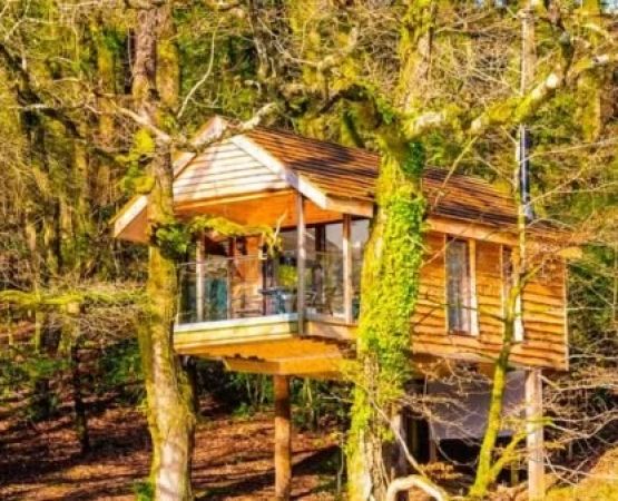 Top Glamping Treehouses, Yurts & Unique Lodges Across States