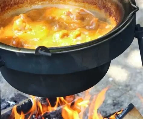 The Best Campfire Stews and Soups for Your Outdoor Adventures