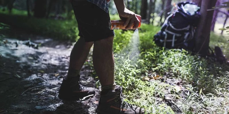 How to Effectively Deal with Insect Bites and Stings While Camping