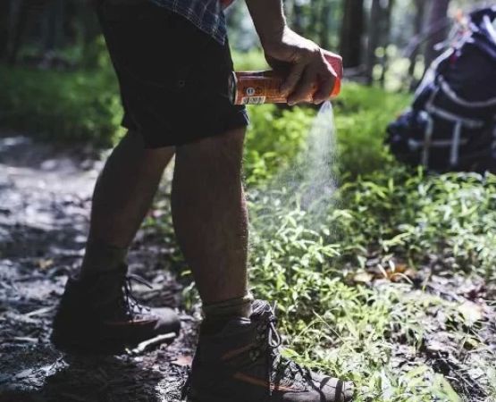 How to Effectively Deal with Insect Bites and Stings While Camping