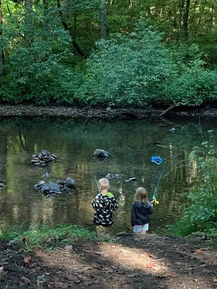 Understanding the Principles of Outdoor Safety for Kids Every Parent Should Know