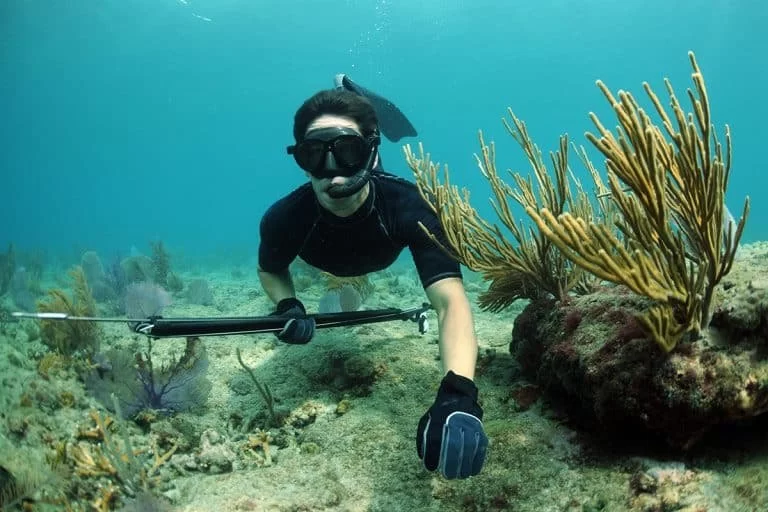 Essential Gear for Spearfishing While Camping: What You Need for Success