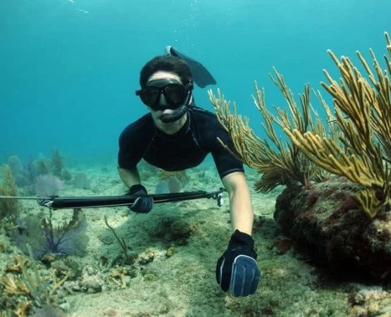 Essential Gear for Spearfishing While Camping: What You Need for Success