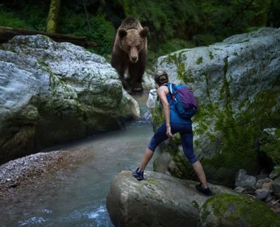 How to Handle Wildlife Encounters: Bears, Snakes & Coyotes