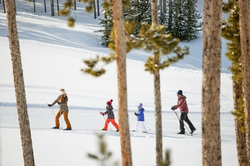 Best U.S. Campgrounds for Nordic Ski Access