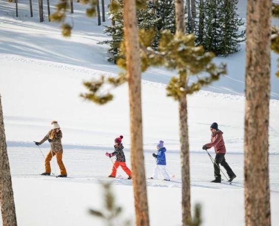 Best U.S. Campgrounds for Nordic Ski Access