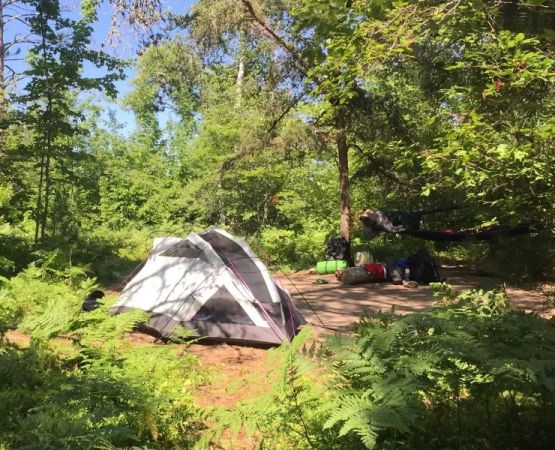 Tips for Backcountry Camping in U.S. National Forests