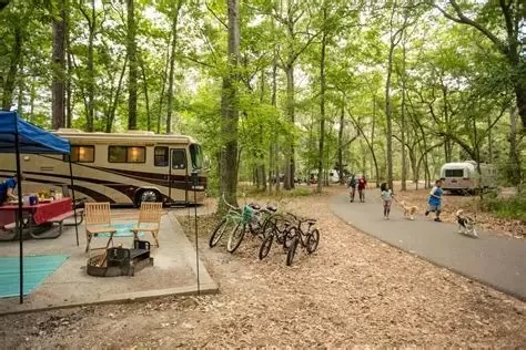 Best U.S. Campgrounds for Bluff Ridge Views: Top Scenic Spots to Explore