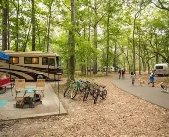 Best U.S. Campgrounds for Bluff Ridge Views: Top Scenic Spots to Explore