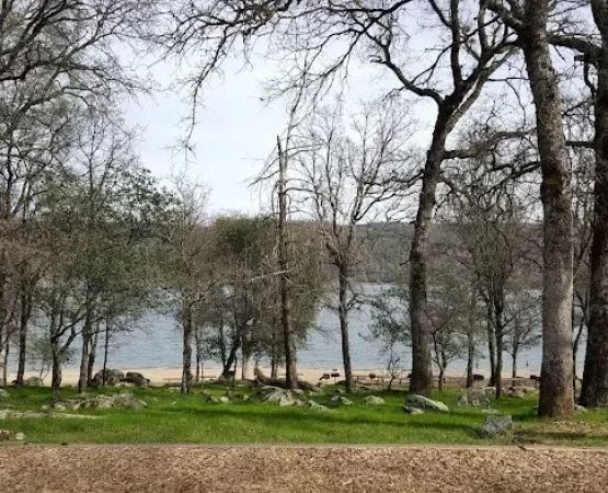 Camping on a Budget: Cheap U.S. Campgrounds Worth Visiting | Pine Cliff Resort