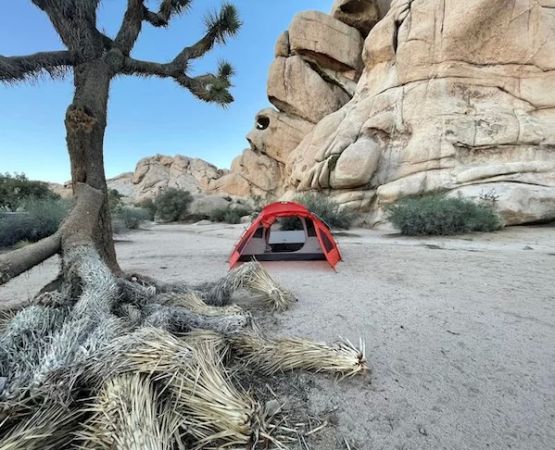 Best Campgrounds in the Pacific Islands (U.S. Territories) for Your Next Adventure