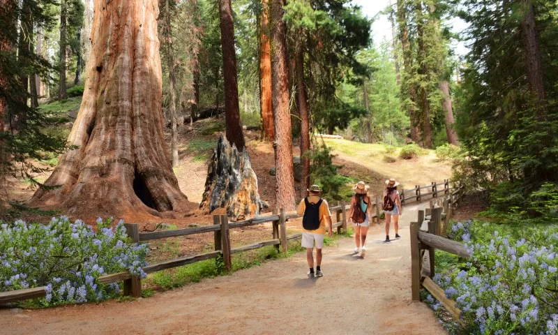 Best Campgrounds Near Major U.S. Cities for Quick Getaways