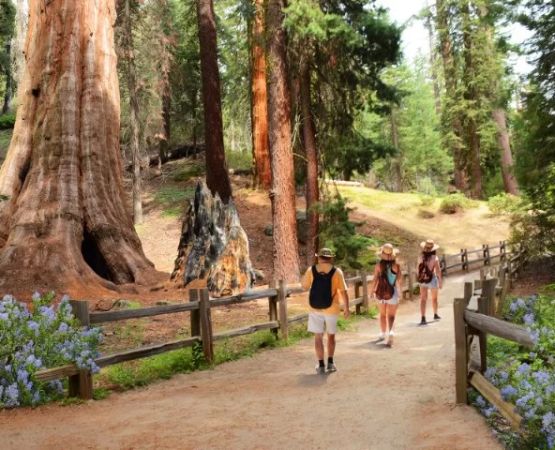 Best Campgrounds Near Major U.S. Cities for Quick Getaways