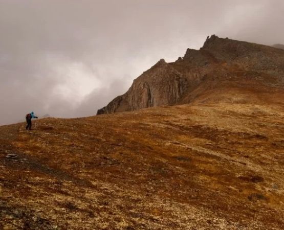 How to Camp Near Folded Ridge Edges: Safety Tips and Scenic Secrets