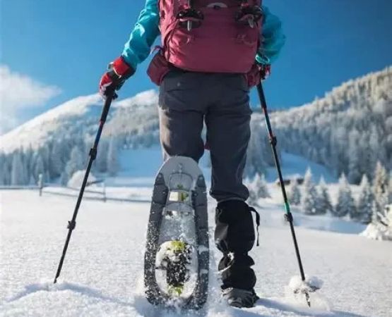 Best U.S. Campgrounds for Snowshoeing in Winter | Step Mesa Slopes