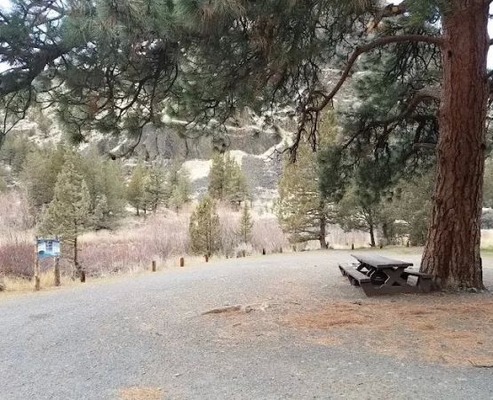 How to Camp Near Spire Ridge Crests | Pine Cliff Resort