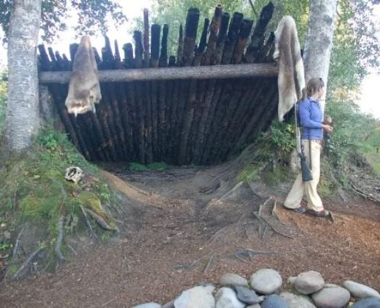 How to Build a Wind-Resistant Shelter – Strong Designs for Safety and Durability