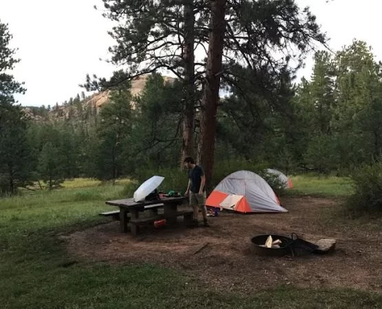 Best U.S. Campgrounds That Offer Ranger Programs | Pine Cliff Resort