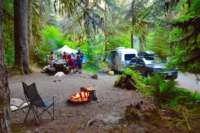 Best U.S. Campgrounds for Forest Bathing & Trails