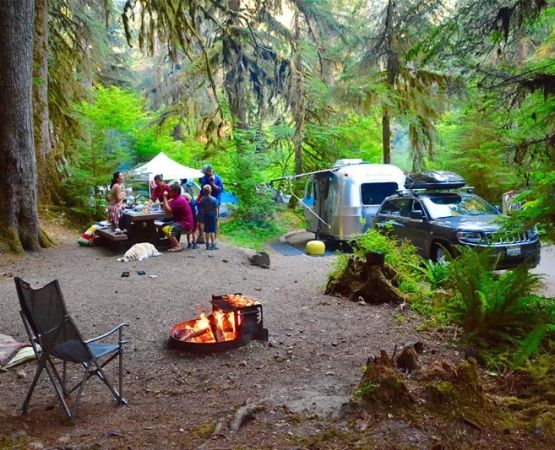 Best U.S. Campgrounds for Forest Bathing & Trails