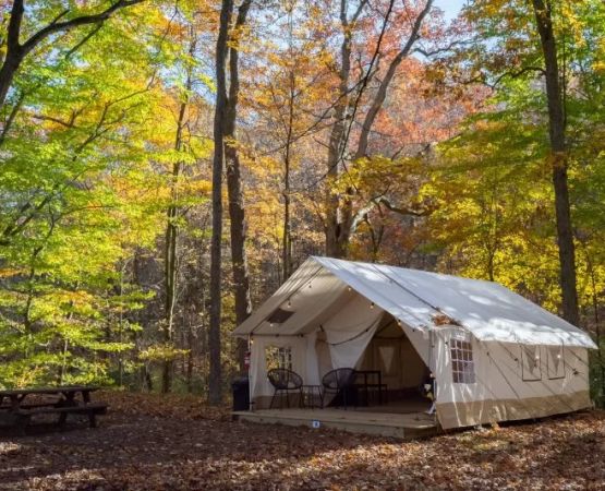 How to Camp in Terrace Valley Terrains Like a Pro