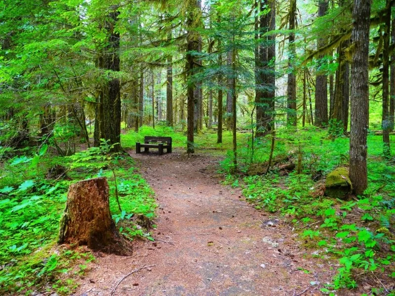 Best Campgrounds for Hiking Trail Networks Across the U.S. | Pine Cliff Resort