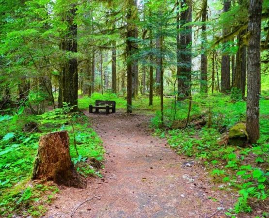 Best Campgrounds for Hiking Trail Networks Across the U.S. | Pine Cliff Resort