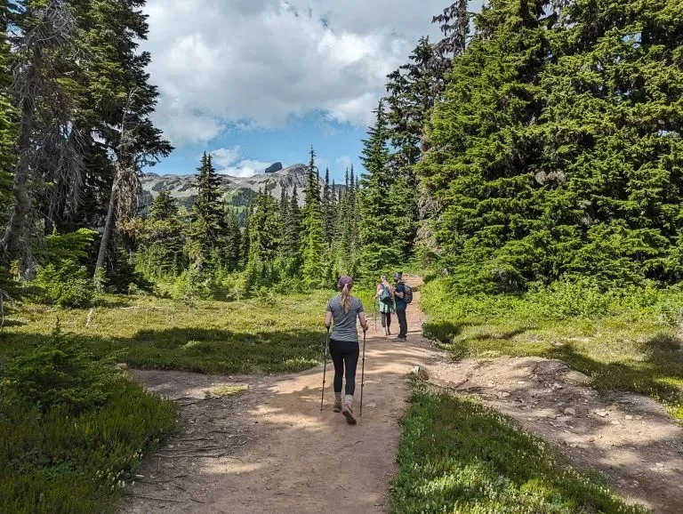 Best U.S. Campgrounds for Panorama Ridge Trails – Ultimate Outdoor Adventure Guide