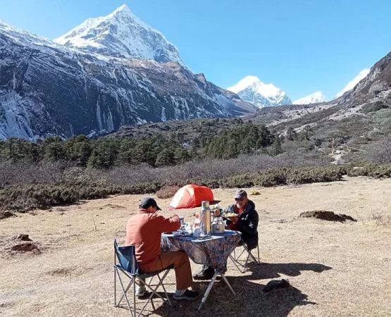 How to Camp in Terrace Valley Terrains Like a Pro