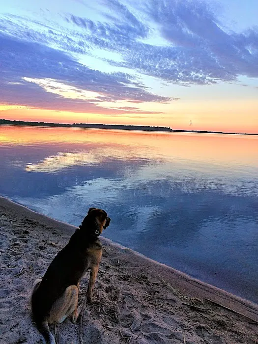 South Pike Bay Campground Picture 4