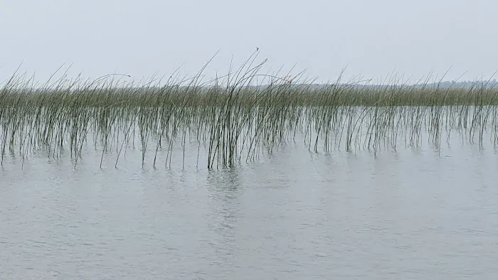 South Pike Bay Campground Picture 1