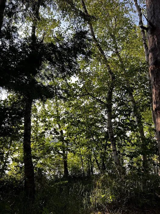 Akeley City Park & Campground Picture 6