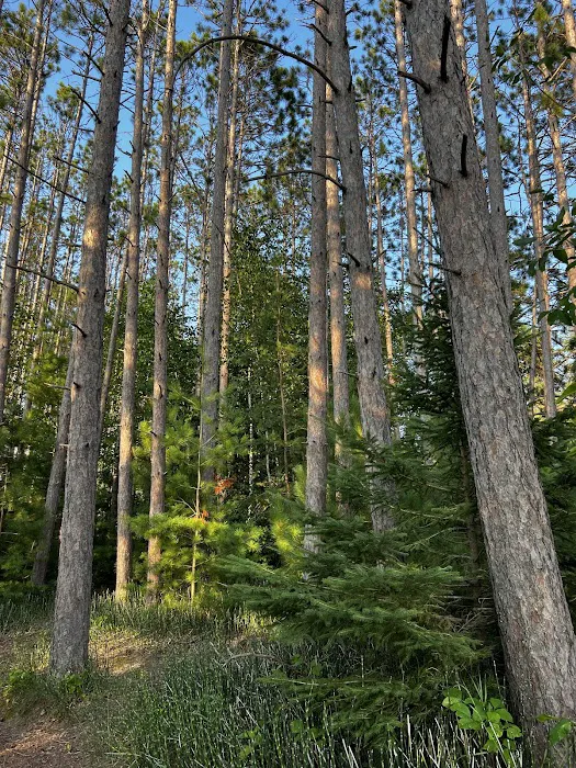 Akeley City Park & Campground Picture 5
