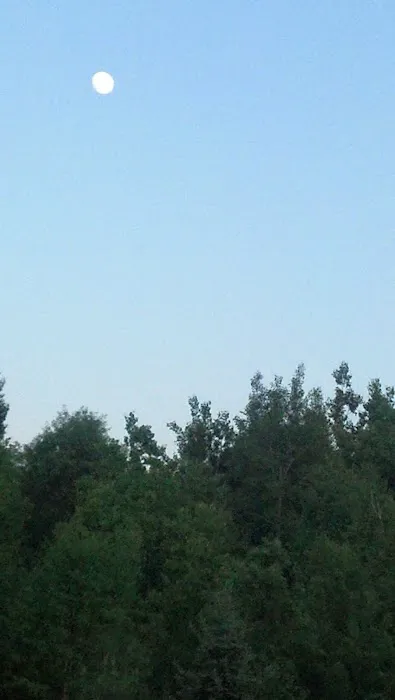 Akeley City Park & Campground Picture 1