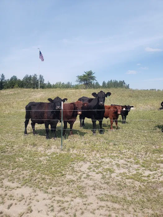 Up North Retreats Picture 1