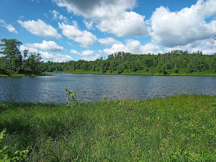 Gulch Lake Campground Picture 8