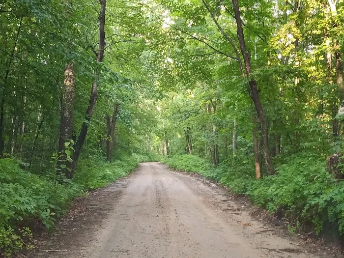 Gulch Lake Campground Picture 1