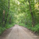 Gulch Lake Campground