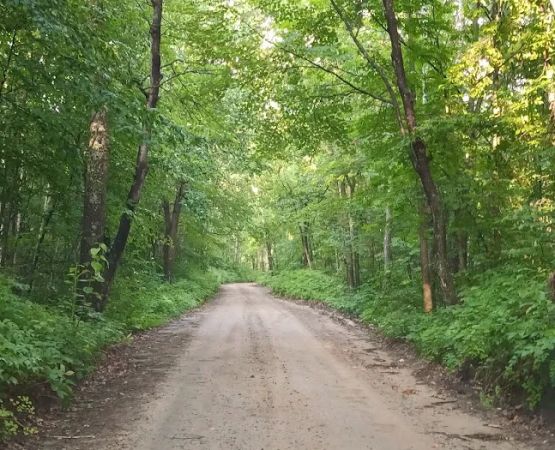 Gulch Lake Campground