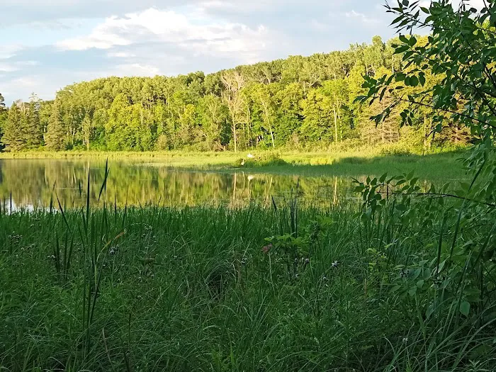 Gulch Lake Campground Picture 9