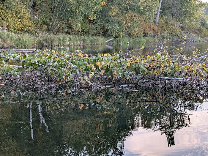 Gulch Lakes Trailhead for the North Country National Scenic Trail Picture 10