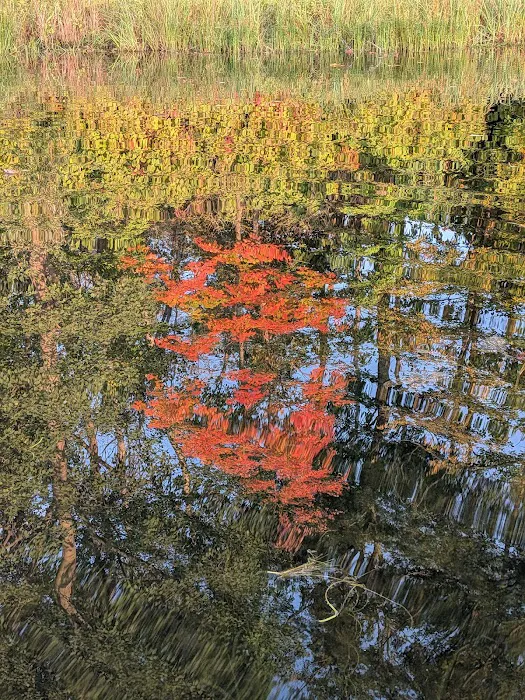 Gulch Lakes Trailhead for the North Country National Scenic Trail Picture 5