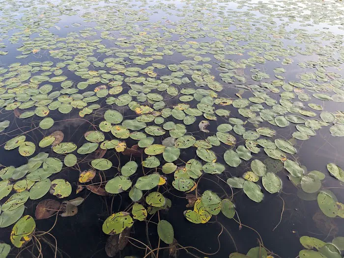 Gulch Lakes Trailhead for the North Country National Scenic Trail Picture 4