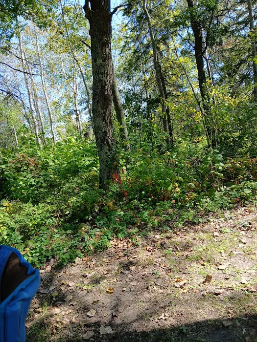 Mantrap Lake Campground Picture 3