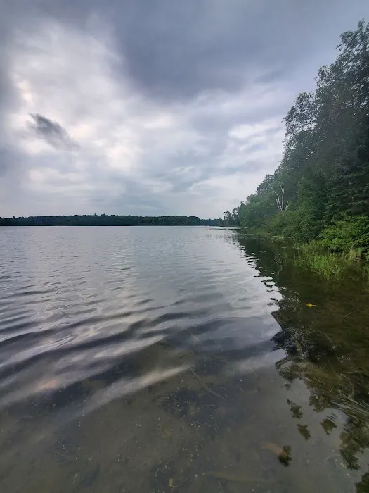 Mantrap Lake Campground Picture 1